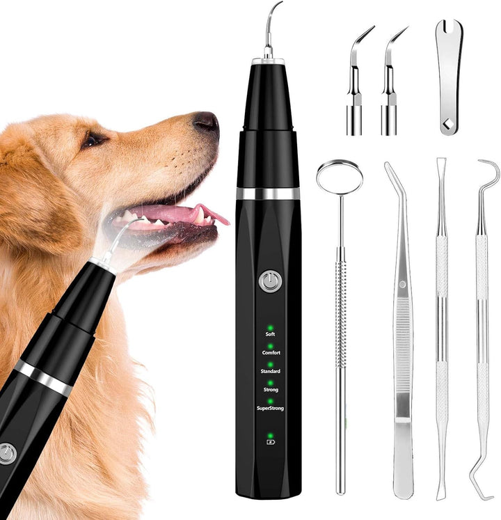 Ultraschall-Zahnsteinentferner für Haustiere zur effektiven Zahnpflege bei Hunden & Katzen.