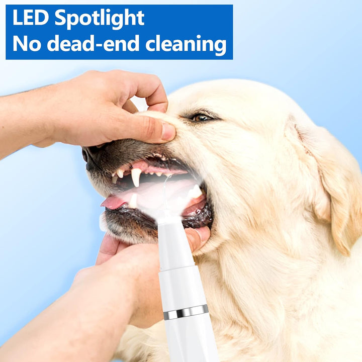 Mundhygiene-Gerät: Ultraschall-Zahnsteinentferner für glänzende Zähne bei Hunden und Katzen.