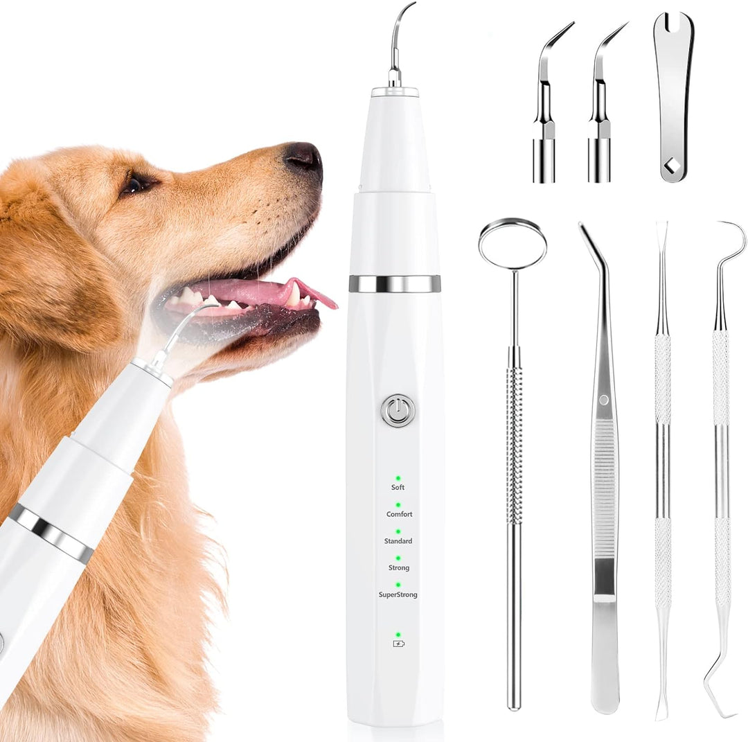 Gerät zur Zahnsteinentfernung mittels Ultraschall für gesunde Zähne bei Hunden & Katzen.