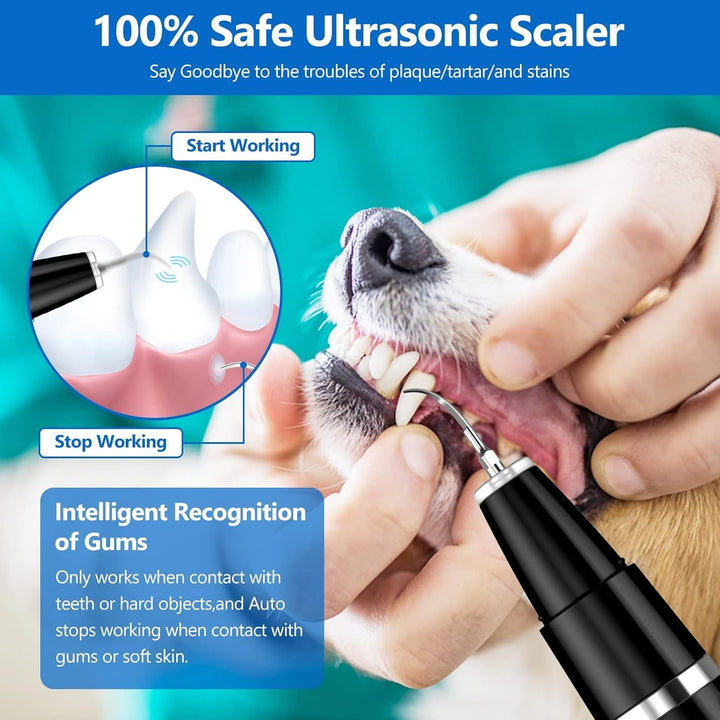 Handlicher Ultraschall-Zahnsteinentferner für Haustiere, ideal für Zuhause.