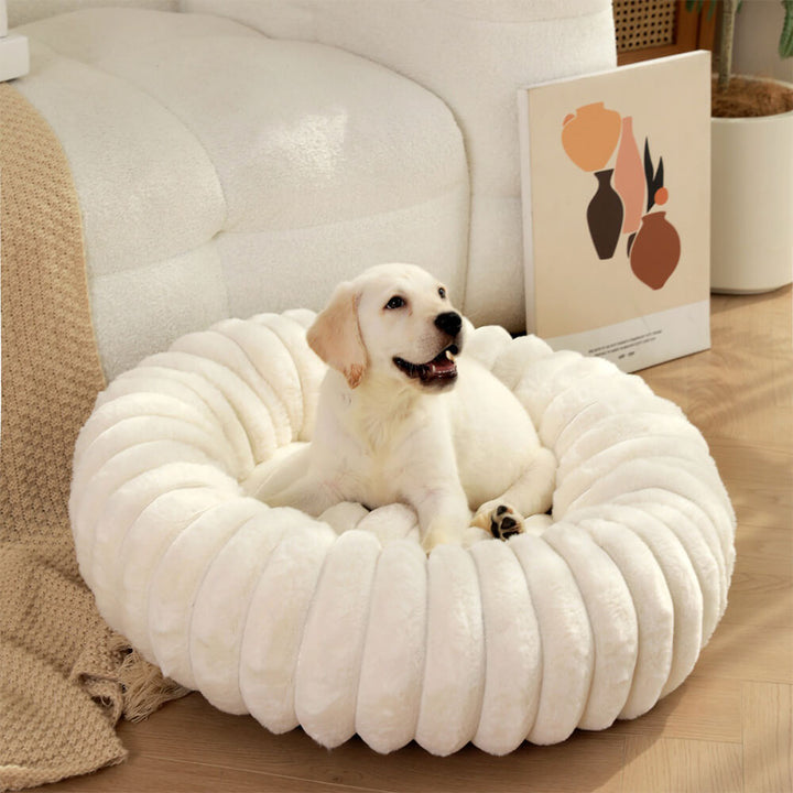 Ultraweiches Plüsch Donut Hundebett & Katzenbett für gemütlichen Schlaf und Geborgenheit.