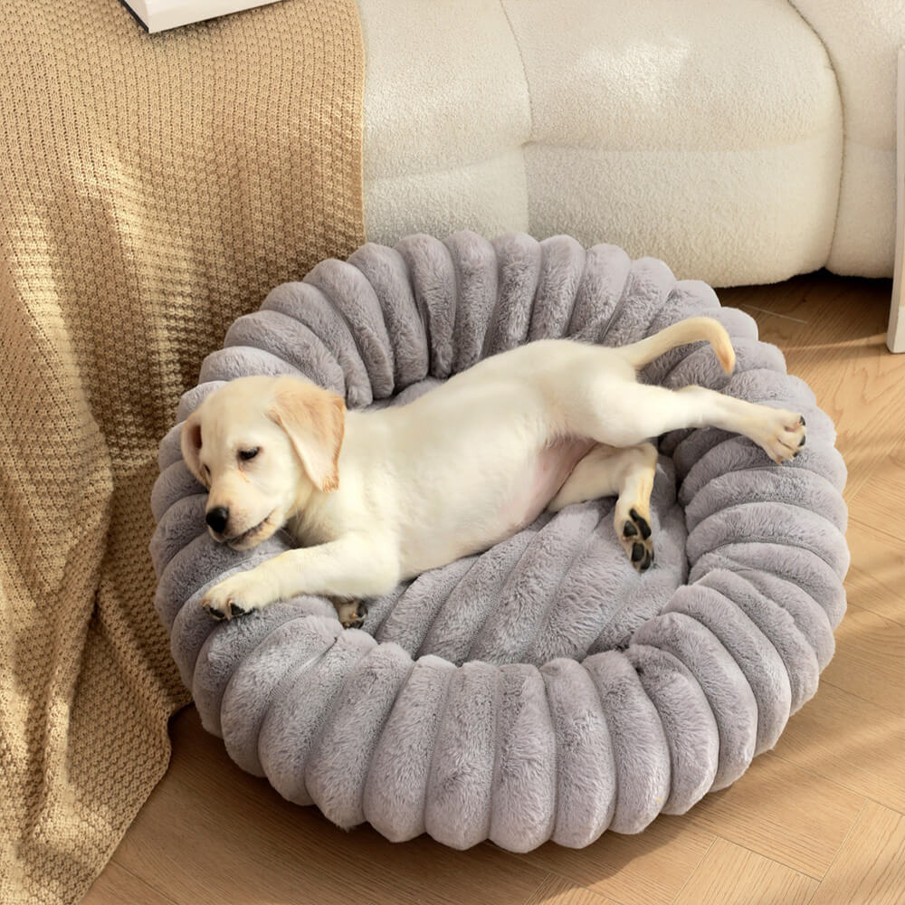 Flauschiges rundes Plüsch Donut Tierbett, ideal für Hunde & Katzen, bietet Komfort & Wärme.
