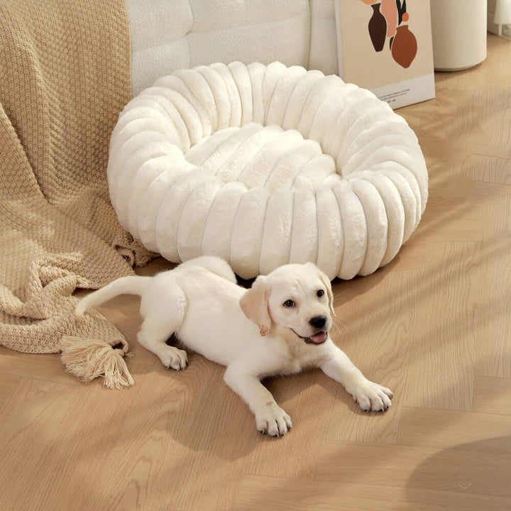 Luxuriöser Plüsch Donut Schlafplatz für Haustiere; Hundebett oder Katzenbett, maximaler Komfort.