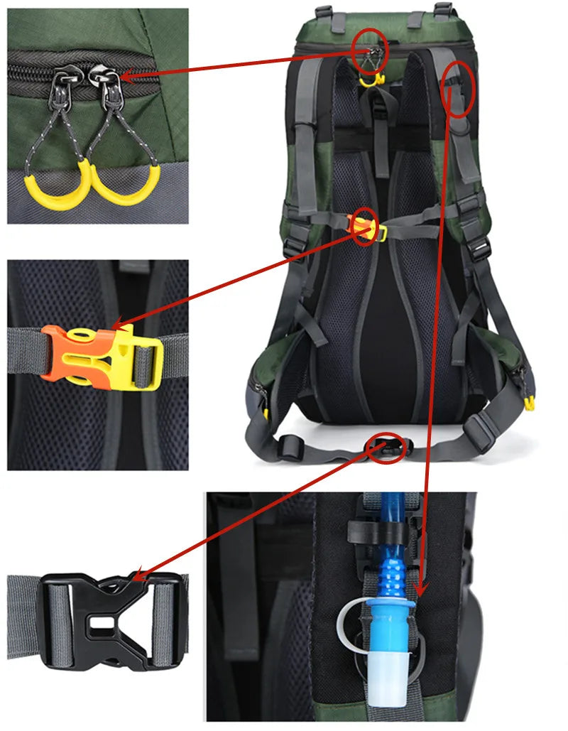 Detailansicht: 60L Outdoor-Rucksack, wasserdicht, mit gepolstertem Rücken & ergonomischen Trägern.