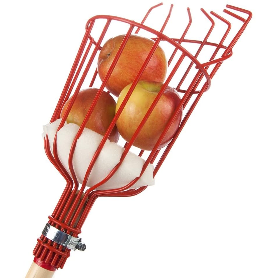 Universal Früchtepflücker mit Metallkorb und Schaumstoffschutz für sicheres, müheloses Obst ernten im Garten.