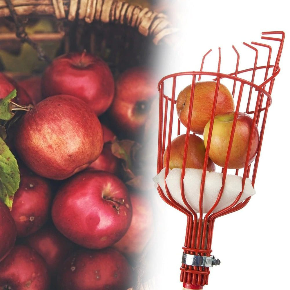 Praktischer Universal Obstpflücker als Gartenhelfer, ermöglicht mühelose Obsternte von Bäumen ohne Leiter.