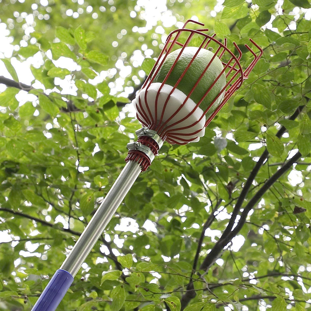 Effizientes Erntewerkzeug für den Obstgarten: Universal Obstpflücker macht die Obsternte einfach und schonend.
