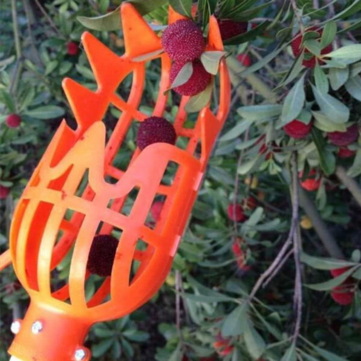 Robuster Obstpflücker mit Fangkorb für schonende Obsternte, idealer Erntehelfer für Früchte im Garten.