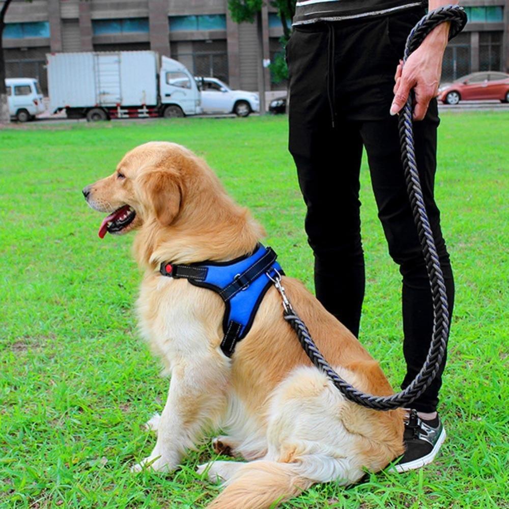 Strapazierfähiges Outdoor-Hundegeschirr für alle Größen, verstellbar und bequem für aktive Hunde ohne Ziehen.