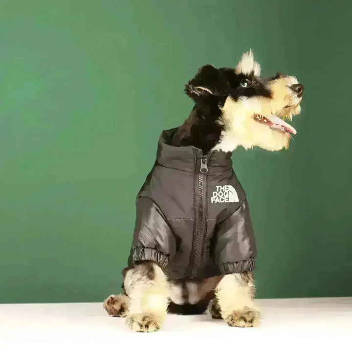 Warm gefütterte & winddichte Hunde-Winterjacke für Spaziergänge an kalten Tagen. Kälteschutz für Vierbeiner.