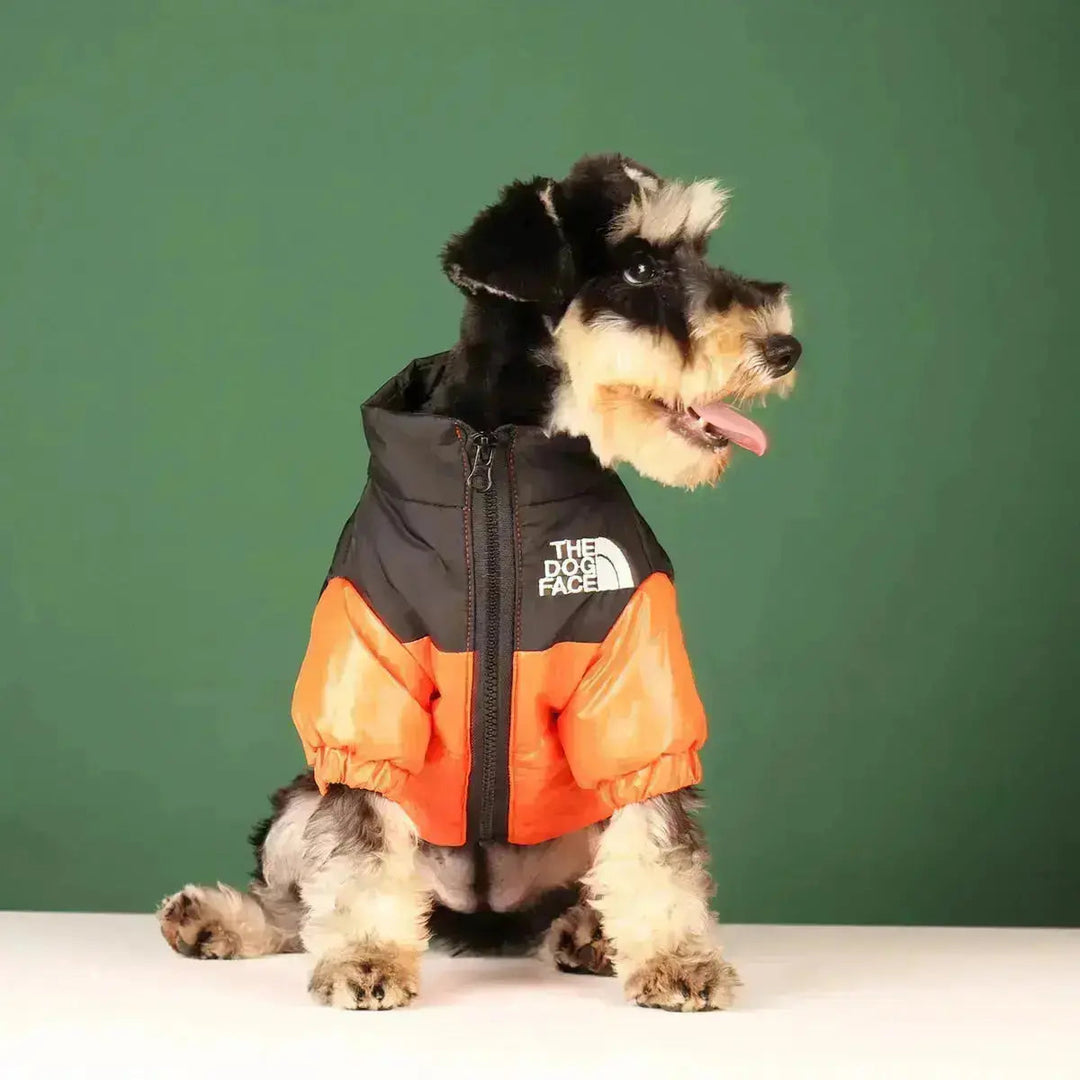 Detailaufnahme der warmen Fütterung der Hunde-Winterjacke. Komfort und Kälteschutz für den Hund.