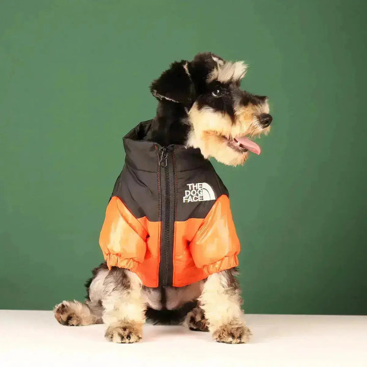 Detailaufnahme der warmen Fütterung der Hunde-Winterjacke. Komfort und Kälteschutz für den Hund.