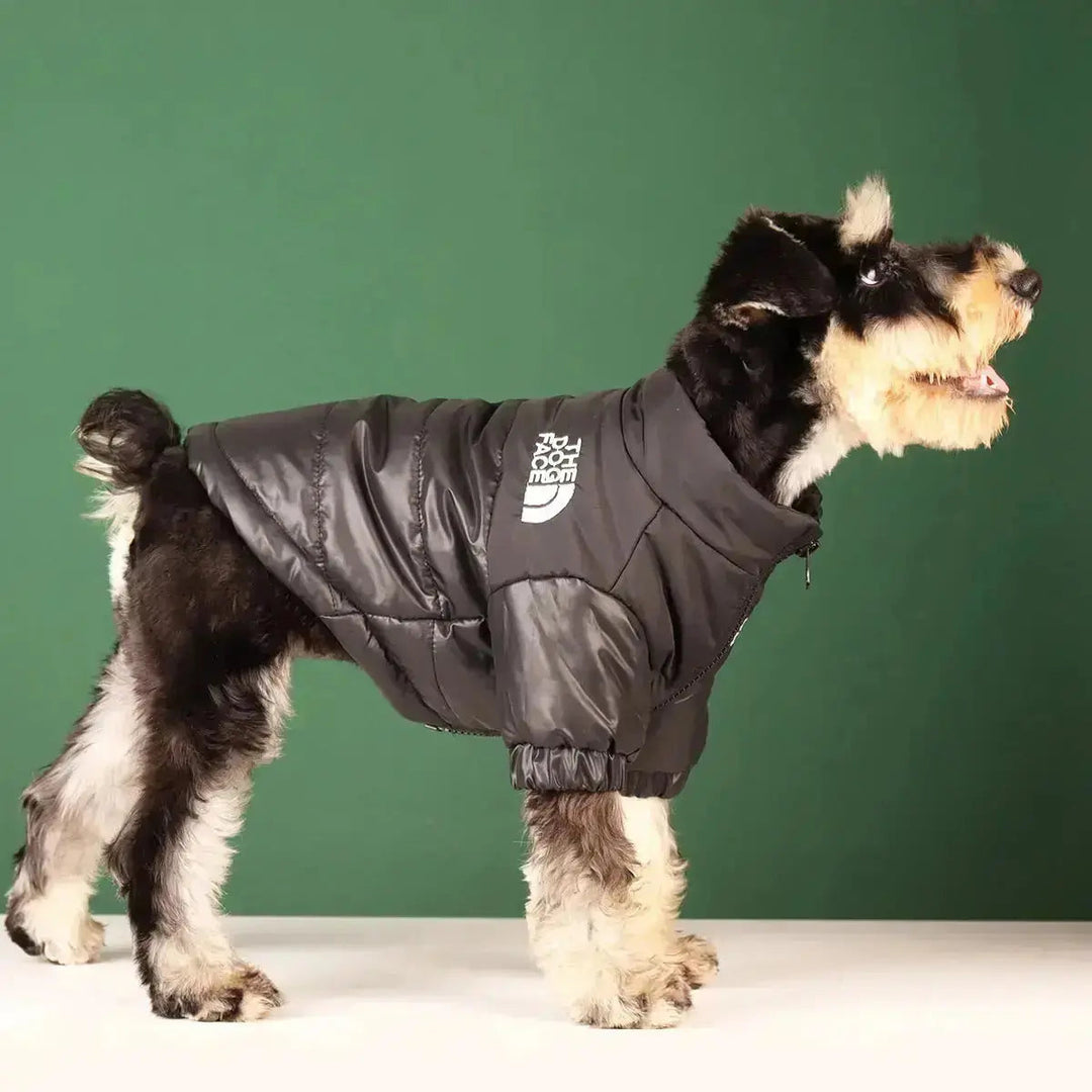 Stilvolle Hunde-Winterjacke in voller Ansicht. Warm gefüttert für optimalen Kälteschutz im Winter.