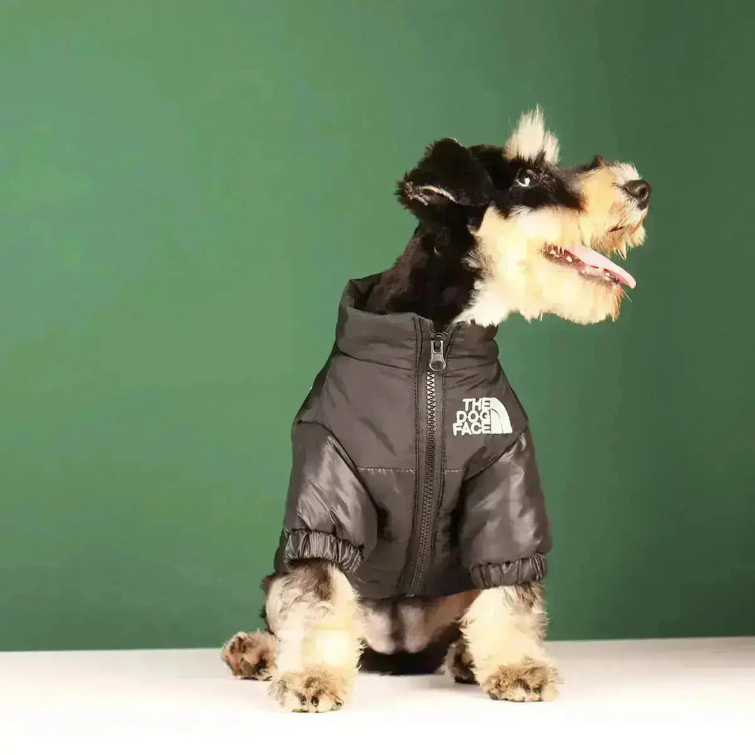 Essenzielle Hundebekleidung für den Winter: Warme, gefütterte und winddichte Winterjacke für kalte Tage.