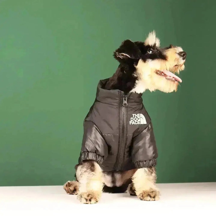 Essenzielle Hundebekleidung für den Winter: Warme, gefütterte und winddichte Winterjacke für kalte Tage.