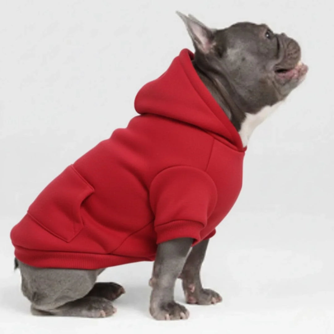 Warmer Haustier Hoodie für Herbst & Winter in buntem Sportstil, bequem und stylisch für Hunde & Welpen.