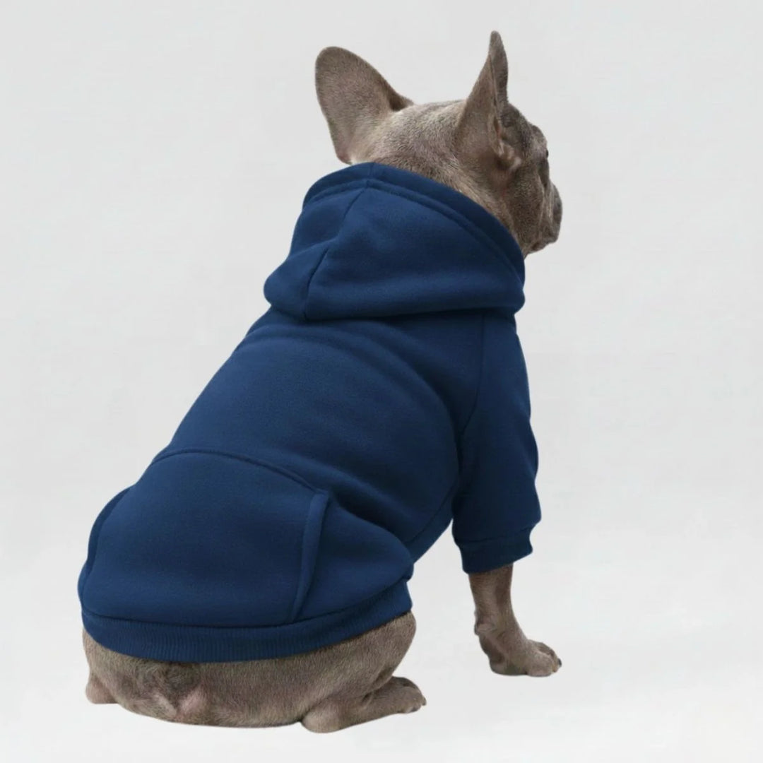Stylische Hundekleidung im Sportstil: bunter Haustier Hoodie mit Kapuze & Taschen, ideal für kühle Tage.