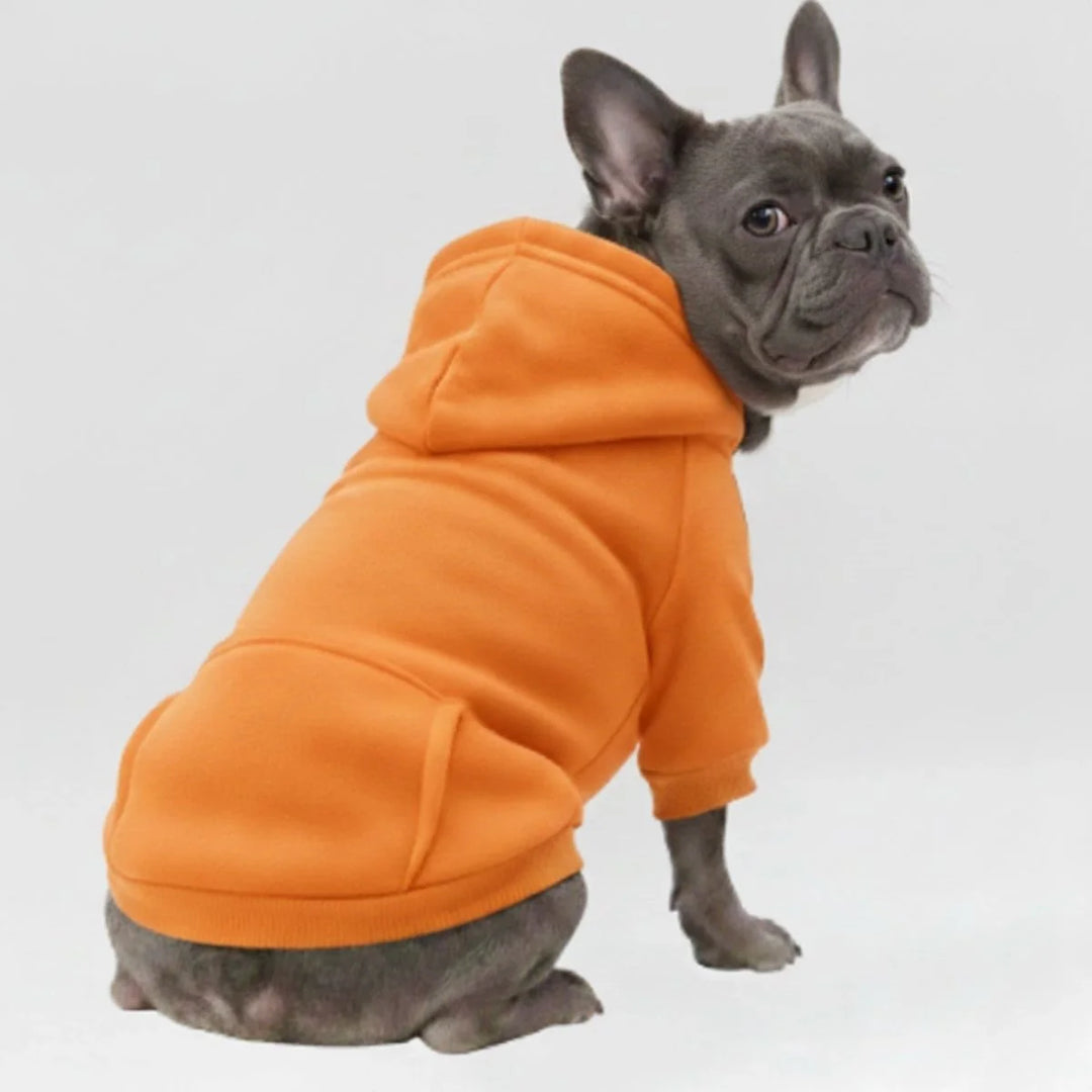 Bequemer Haustier Hoodie, warmer Hundepullover für Herbst & Winter, weiche Hundemode für kleine Hunde.