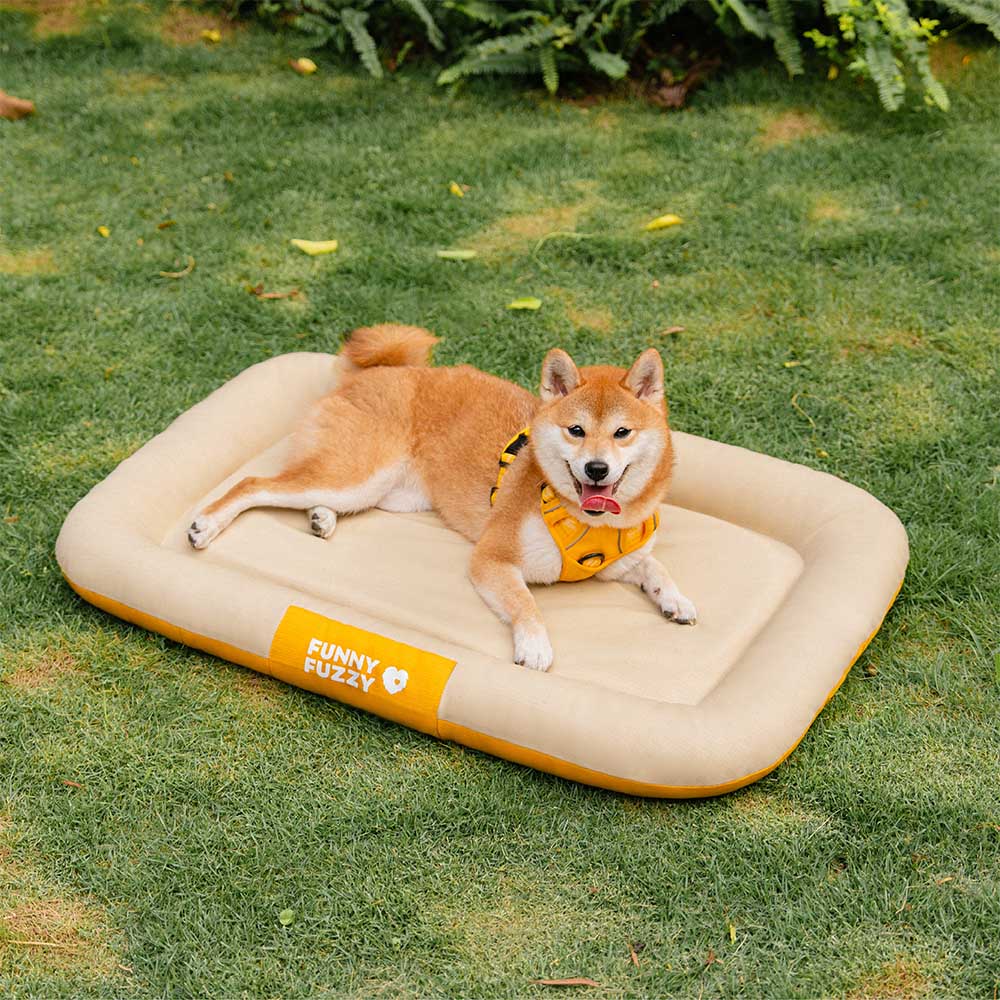 Wasserdichte, farbblockierte orthopädische Outdoor-Hundematte für höchsten Komfort.