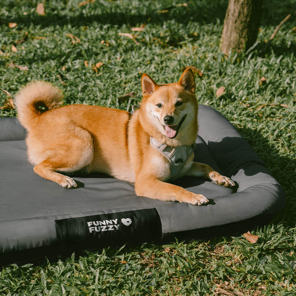 Outdoor-Schlafplatz für Hunde: wasserdicht, kratzfest, orthopädisch, farbblockiert.