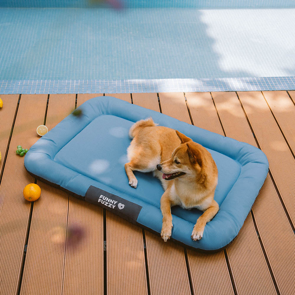 Reisebett für Hunde: orthopädisch, wasserdicht, waschbar und leicht transportierbar.