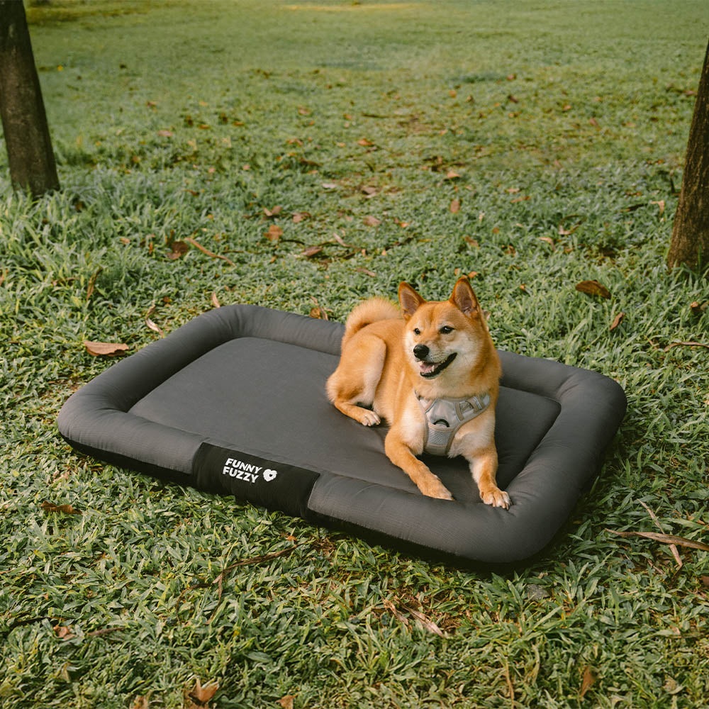 Wasserdichte & orthopädische Hundematte, farbblockiert, für Terrassen & Gärten.