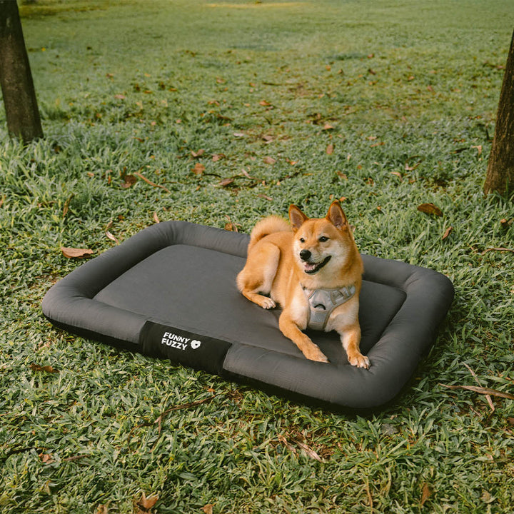 Wasserdichte & orthopädische Hundematte, farbblockiert, für Terrassen & Gärten.