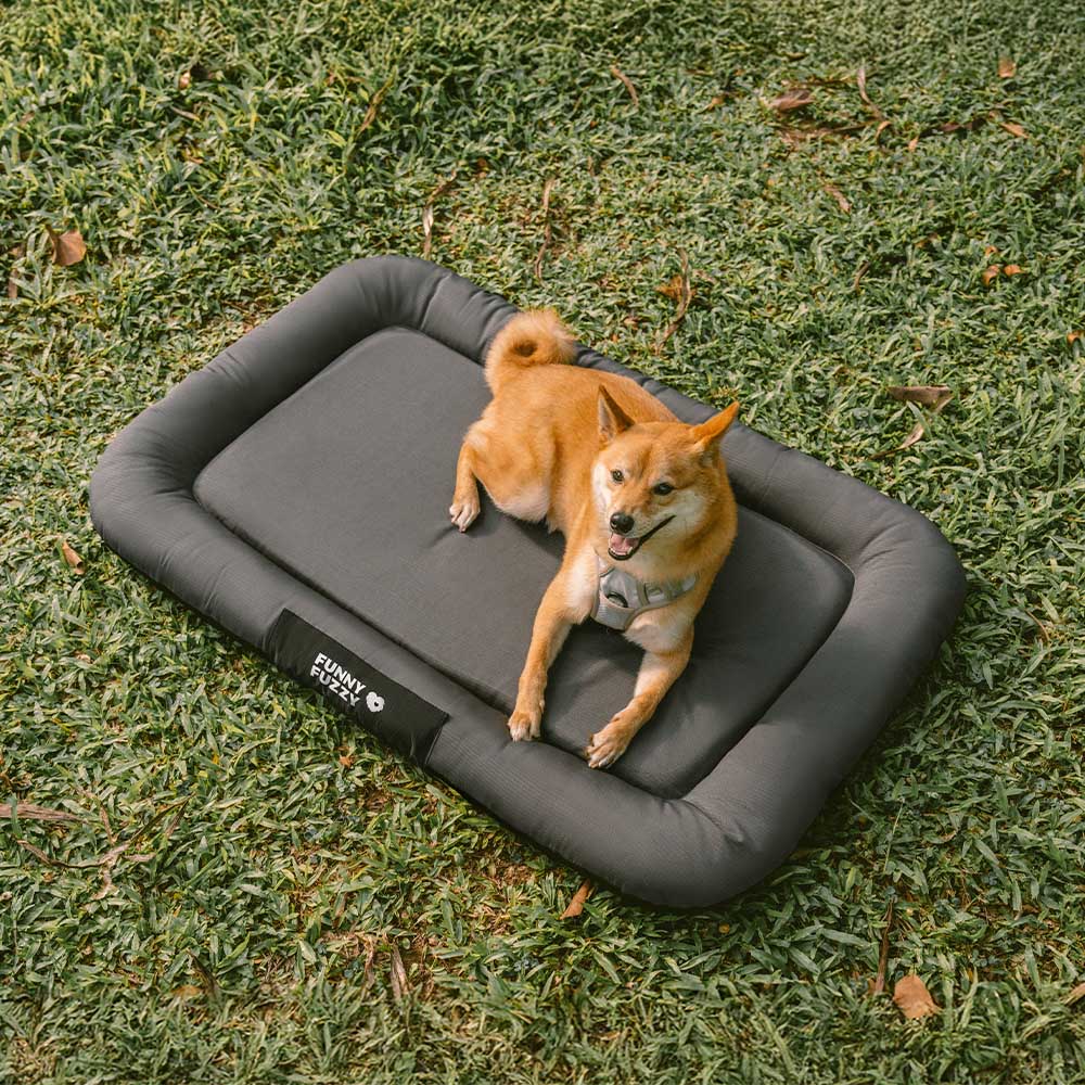Hundezubehör: orthopädische Outdoor-Hundematte, wasserdicht, kratzfest, farbblockiert.