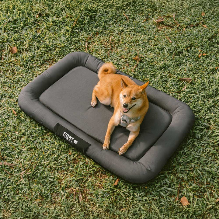Hundezubehör: orthopädische Outdoor-Hundematte, wasserdicht, kratzfest, farbblockiert.