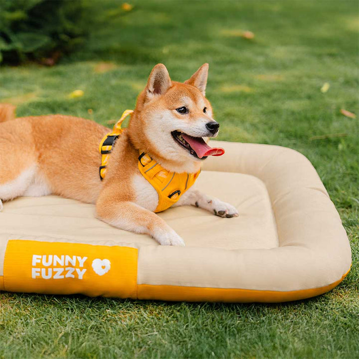Bequeme, wasserdichte Hundematte, orthopädisch und farbblockiert, als Ruhezone.