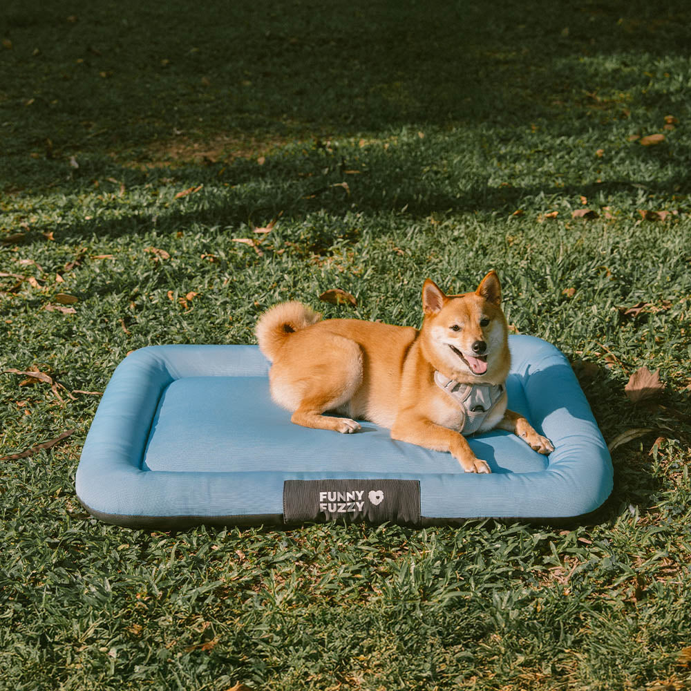 Robuste orthopädische Hundematte, wasserdicht und kratzfest, für alle Abenteuer.