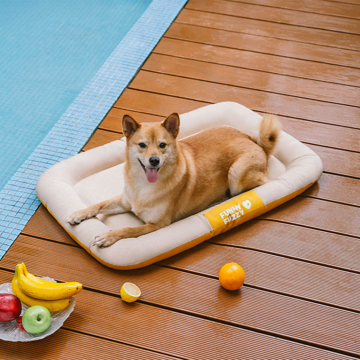 Wasserdichte Hundematte mit Gelenkunterstützung, farbblockiert, für große Hunde.