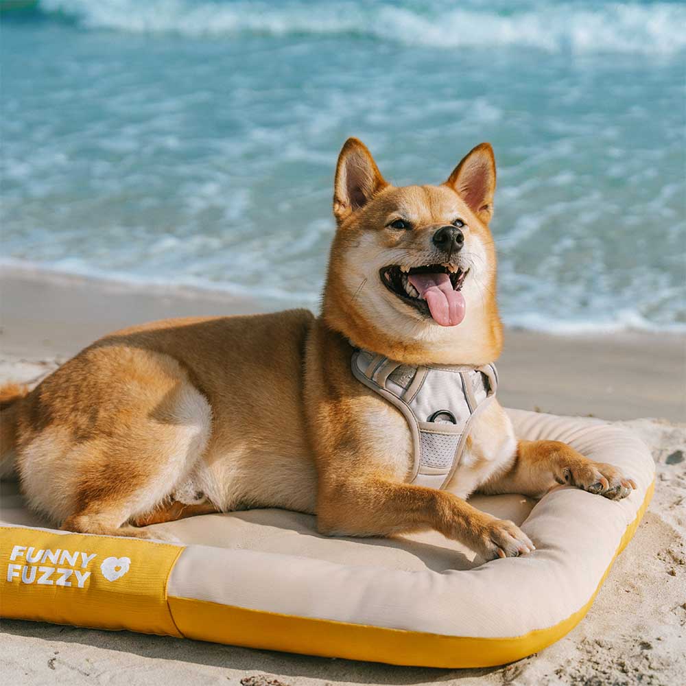 Orthopädische Outdoor-Hundematte, klein, wasserdicht, farbblockiert, für kleine Rassen.