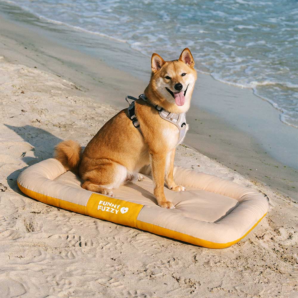 Detailansicht der wasserdichten, kratzfesten Oberfläche der Hundematte.