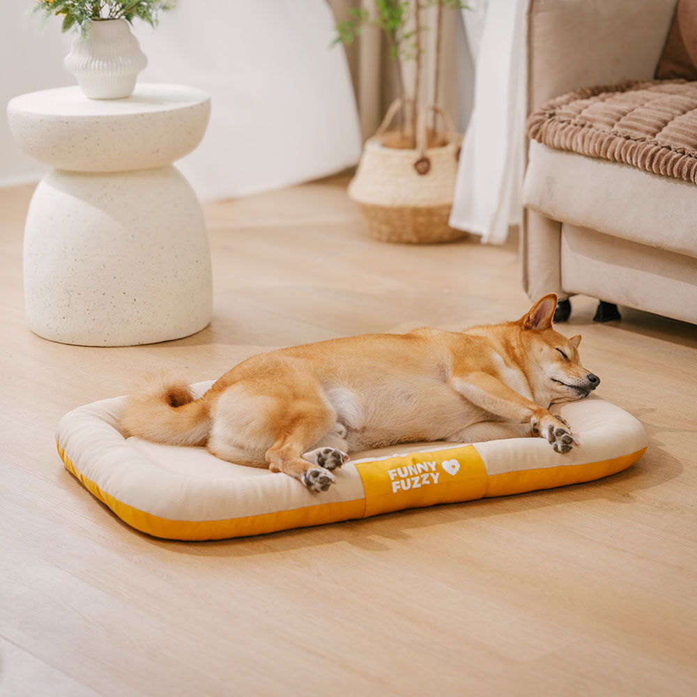 Hundematte im Garten: wasserdicht, orthopädisch, farbblockiert, perfekter Liegeplatz.