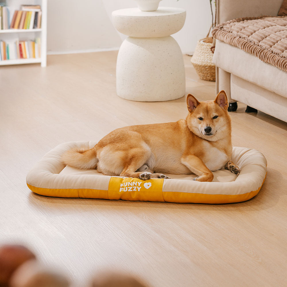 Nahaufnahme des farbblockierten Designs der wasserdichten Outdoor-Hundematte.