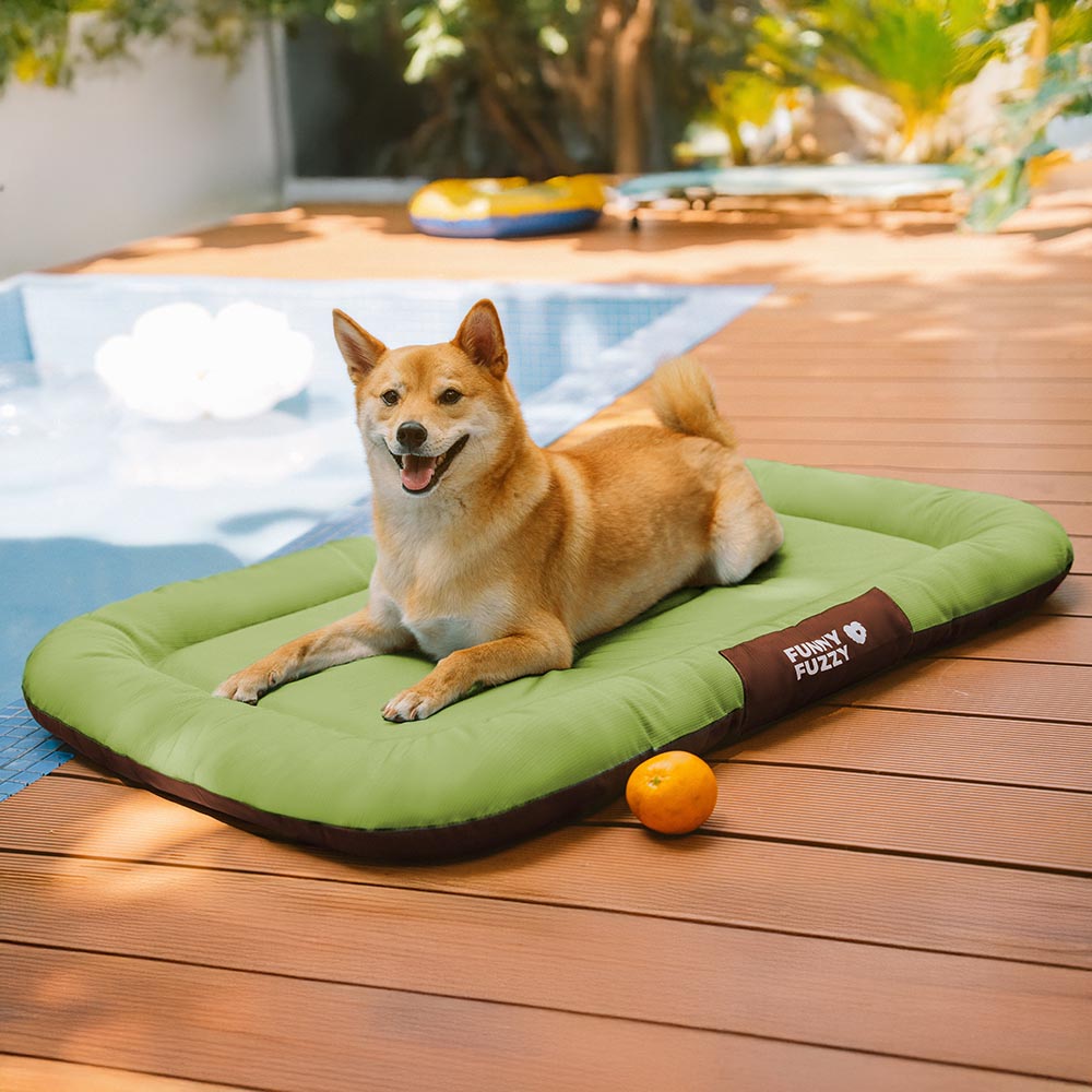 Produktansicht: Orthopädische Outdoor-Hundematte, wasserdicht, farbblockiert, robust.