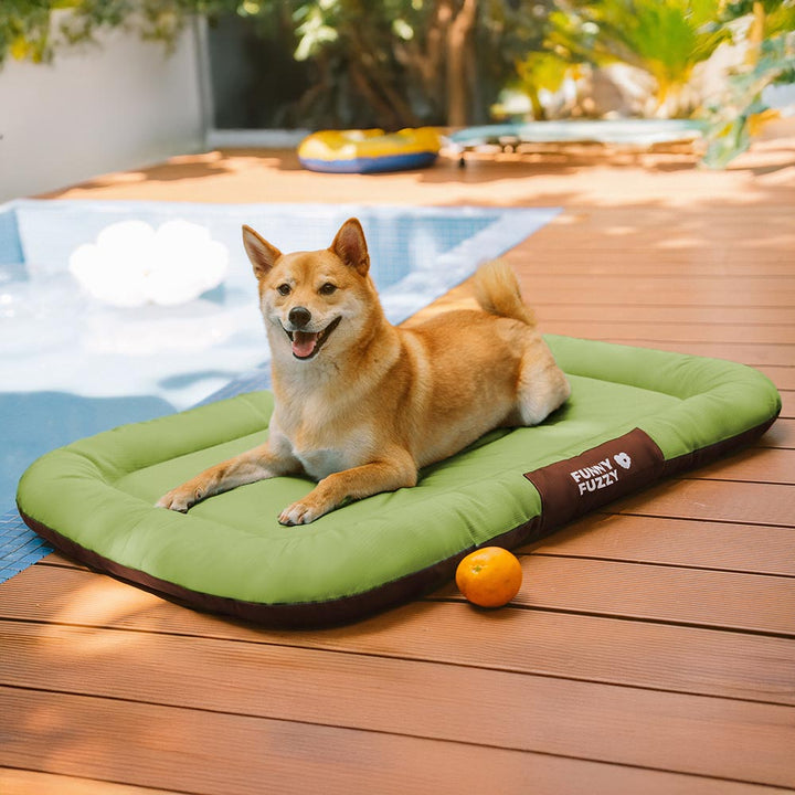 Produktansicht: Orthopädische Outdoor-Hundematte, wasserdicht, farbblockiert, robust.
