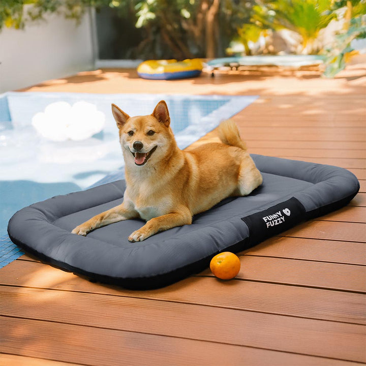 Wasserdichte Hundematte mit orthopädischer Unterstützung, farbblockiert, für ältere Hunde.