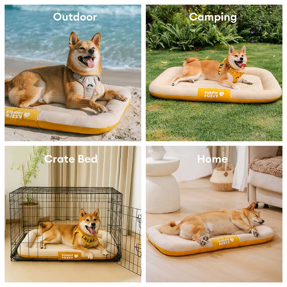 Wasserdichte Hundematte im modernen Farbblock-Design, orthopädisch und komfortabel.