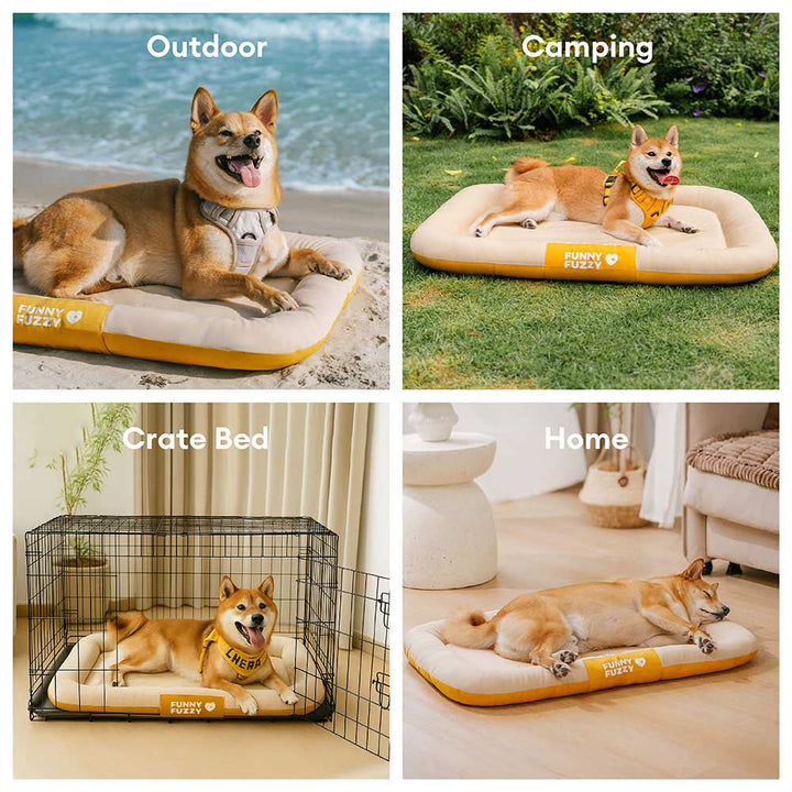 Wasserdichte Hundematte im modernen Farbblock-Design, orthopädisch und komfortabel.