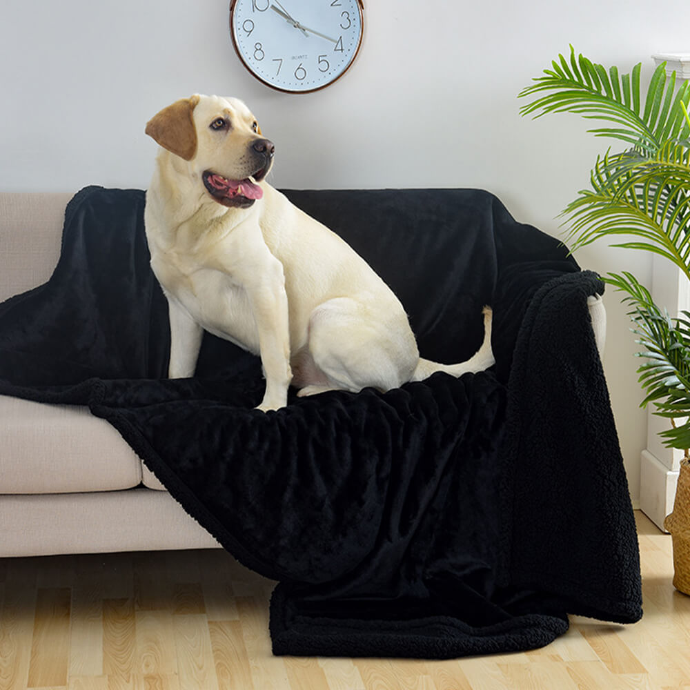 Hundedecke als Sofa-Schutz: wasserdichtes Flanell-Fleece in elegantem Design, pflegeleicht.