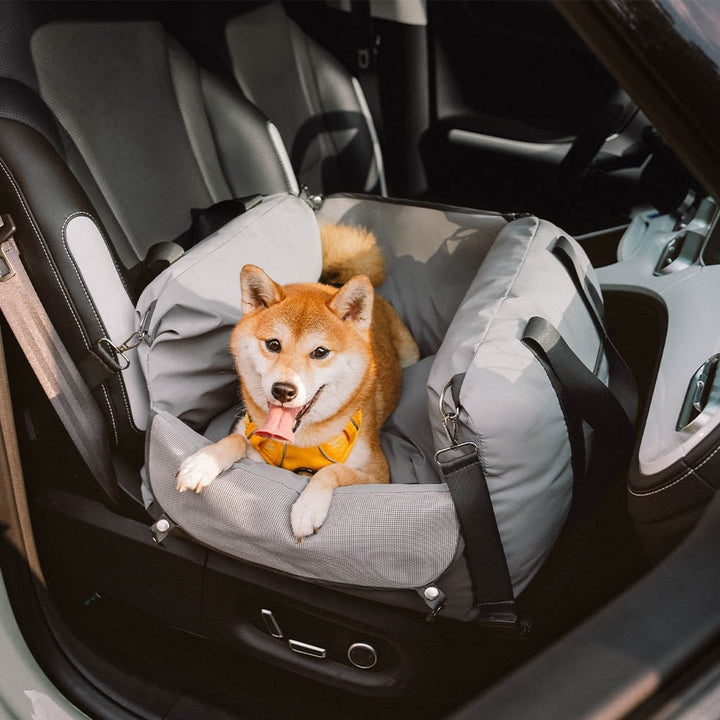 Hunde-Reisesitz, wasserdicht und leicht zu installieren, für entspannte Autofahrten mit Tier.