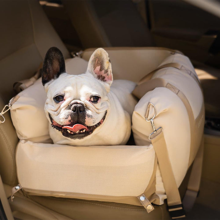 Eleganter Hunde-Autositz, wasserdicht & atmungsaktiv, für sicheres und stilvolles Reisen.