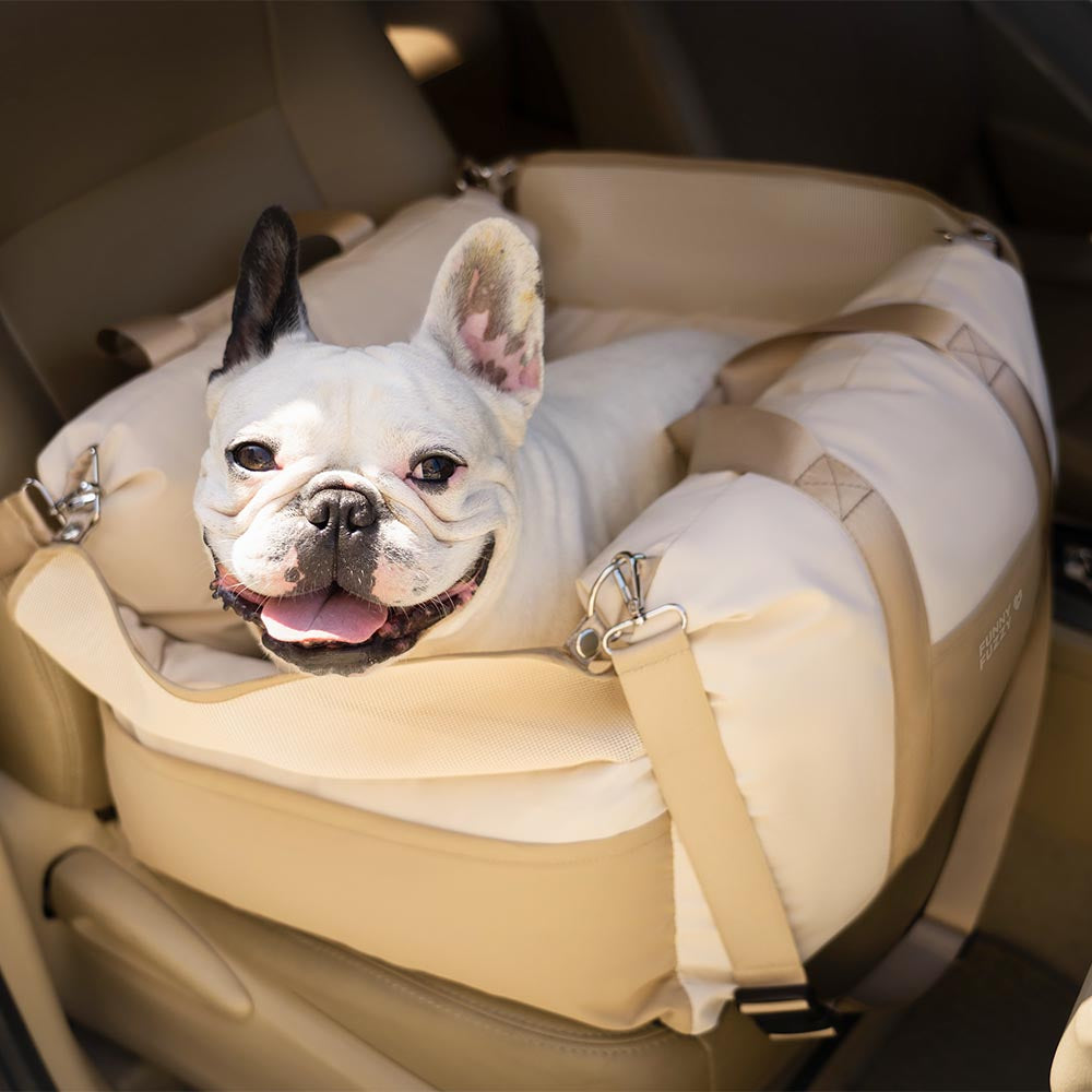 Universeller Hunde-Autositz, wasserdicht, passend für kleine & mittlere Hunde im PKW.