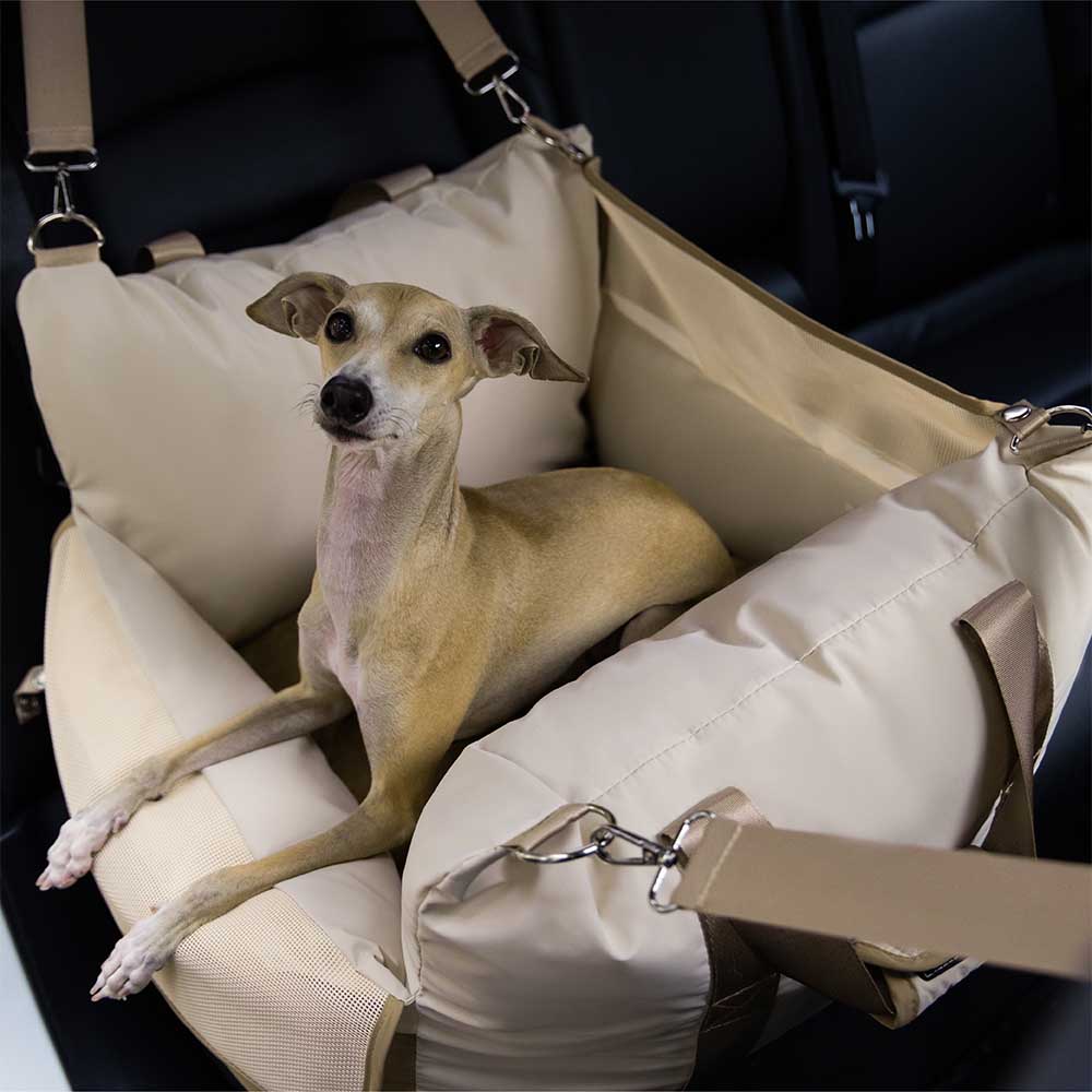 Komfortabler Haustier-Autositz, wasserdicht, ideal für kleine & mittlere Hunde auf Reisen.