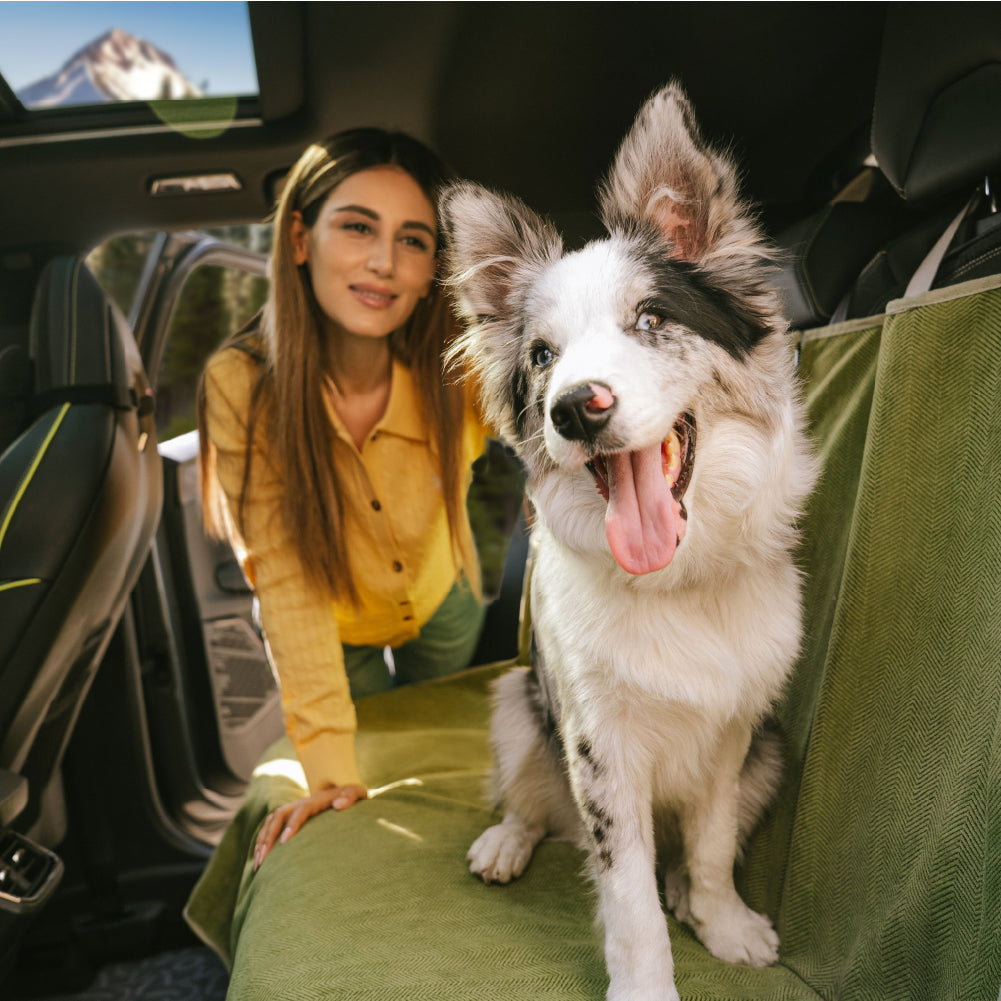 Praktischer Hunde Autositzbezug, wasserdicht und einfach zu installieren, für eine saubere Autofahrt.