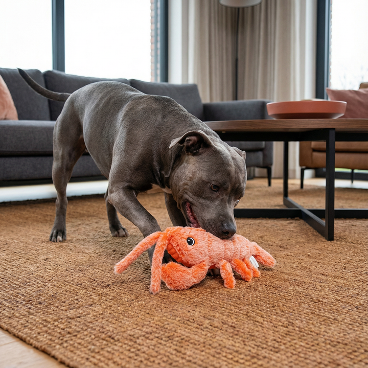 Interaktives Wackel-Hummer Hundespielzeug für Spaß und Bewegung. Robustes, langlebiges Spielzeug für Hunde & Welpen.