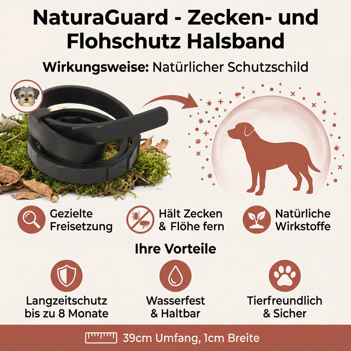 Grünes Zecken- & Flohschutz-Halsband am Labrador-Hund. Effektiver, natürlicher Schutz für Hunde.