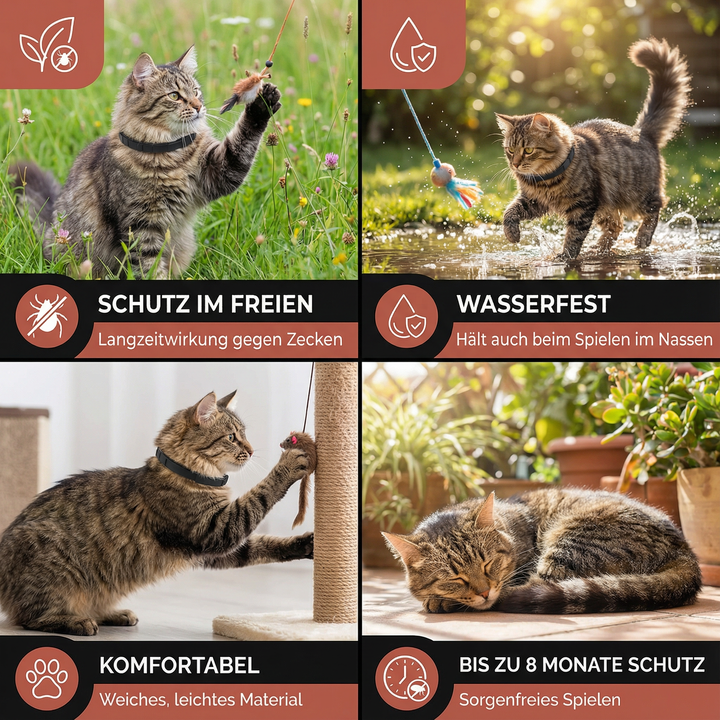 Nahaufnahme des Zecken- & Flohschutz-Halsbands. Robustes, wasserdichtes Material für Hunde & Katzen.